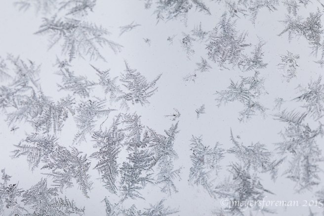 Frost on the window; copyright jmeyersforeman 2015 